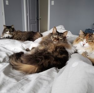 Meet your Posher, Alexandra